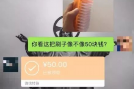 隆德为什么选择专业追讨公司来处理您的债务纠纷？